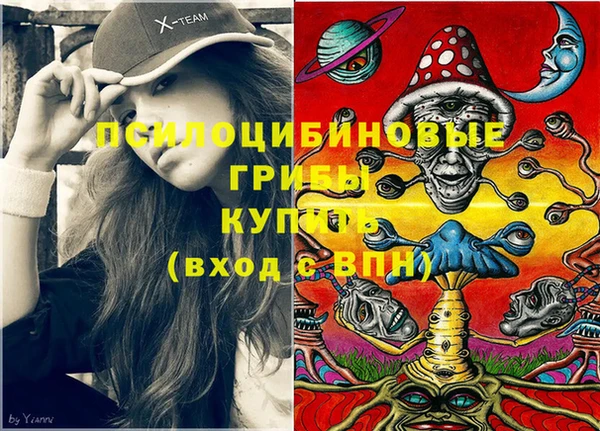спиды Кукмор