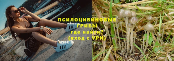 спиды Кукмор