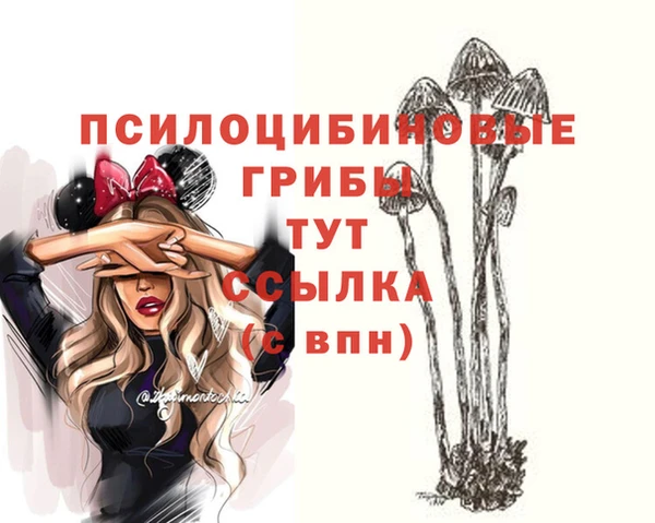 альфа пвп Кулебаки