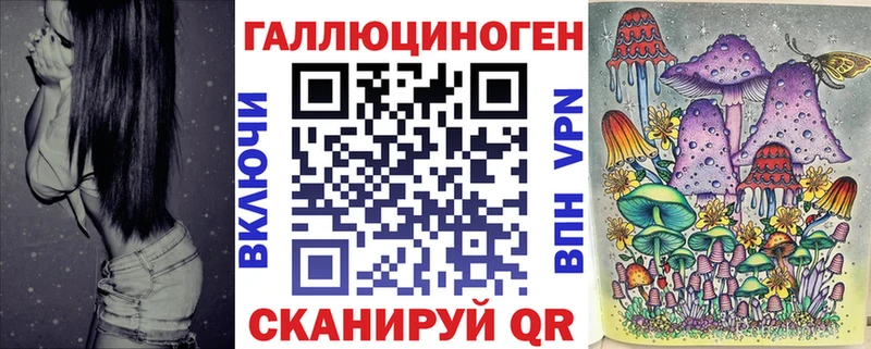 Галлюциногенные грибы Psilocybine cubensis  Купить где  Ак-Довурак